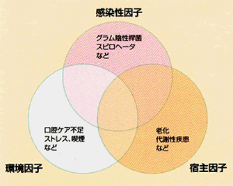 歯周病の主な原因